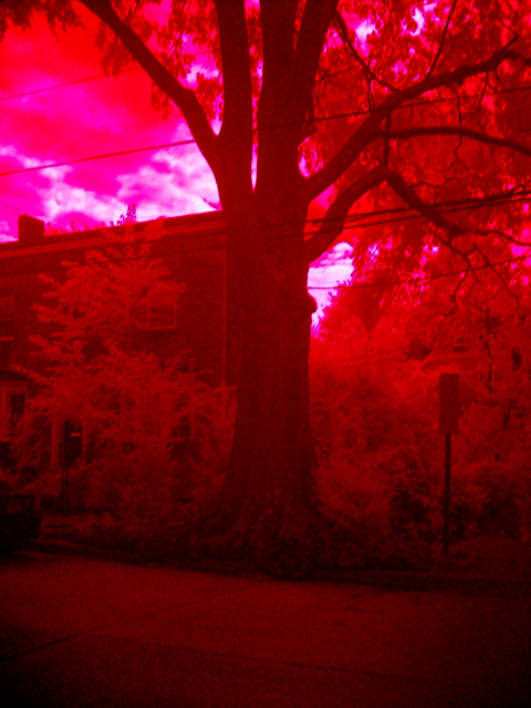IR Kodak M863
