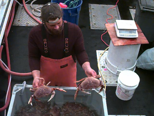 Crab people