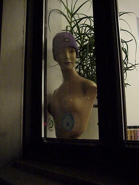 The upper half of a mannequin wearing a wool hat
📷: Sony MVC-FD81
📅: 2022-02-27