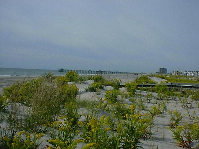 New Jersey Beach a day before tropical storm hits
