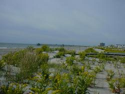 New Jersey Beach a day before tropical storm hits
