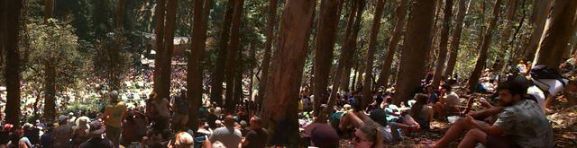 Panorama of Phil Lesh concert, Stern Grove, Aug 14, 2022