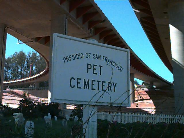 Pet Cemetary in the Presidio
