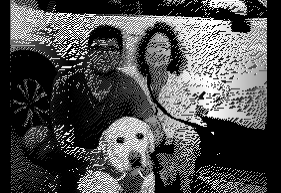 The Family